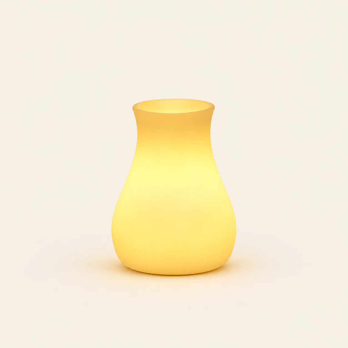 FloraGlow™ Vase